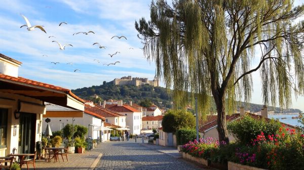 Pourquoi choisir La Ciotat pour y établir votre domicile ?
